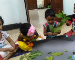 children learning about leaves